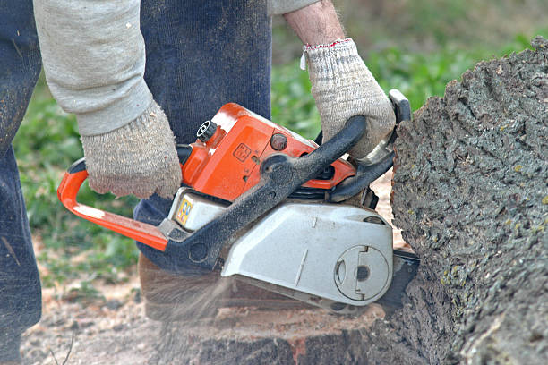 Soil Testing and Treatment in Clovis, NM